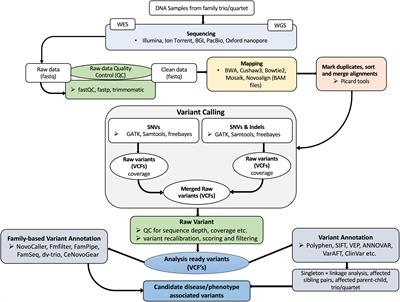 Next Generation Sequencing and Bioinformatics Analysis of Family Genetic Inheritance